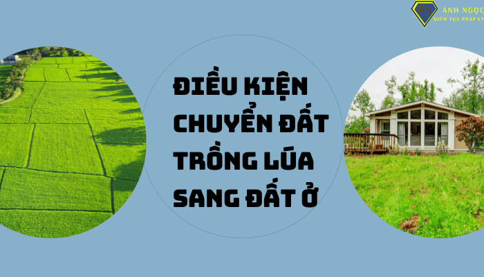 Điều kiện chuyển đất trồng lúa sang đất ở