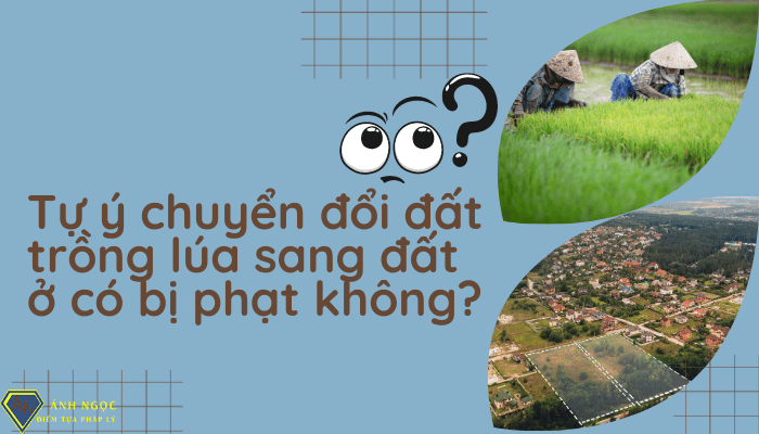 Tự ý chuyển đổi đất trồng lúa sang đất ở có bị phạt không