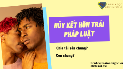 Vấn đề chia tài sản và con chung sau khi hủy kết hôn trái pháp luật