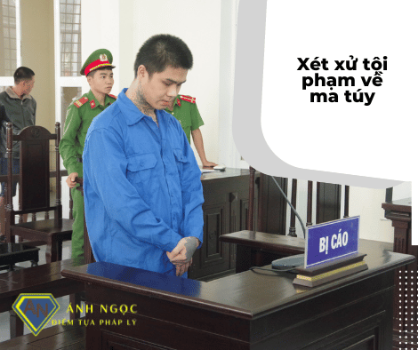 Xét xử tội tàng trữ trái phép chất ma túy