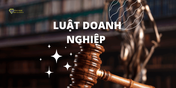 Luật Doanh nghiệp 2020 mới nhất