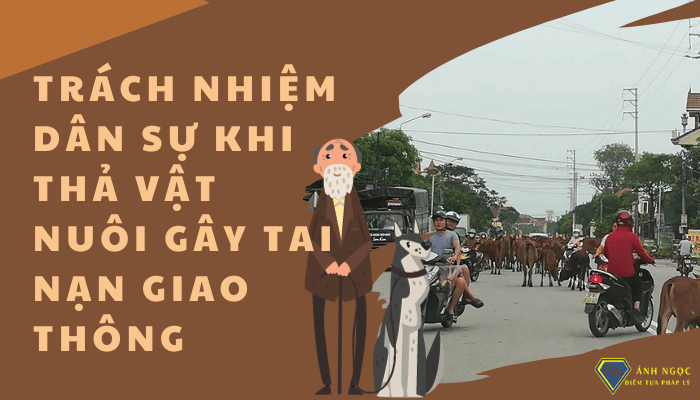 Trách nhiệm dân sự khi thả vật nuôi gây tai nạn giao thông