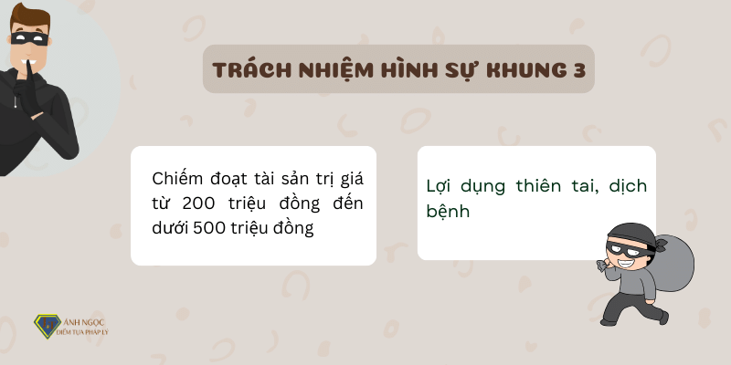 Trách nhiệm hình sự khung 3