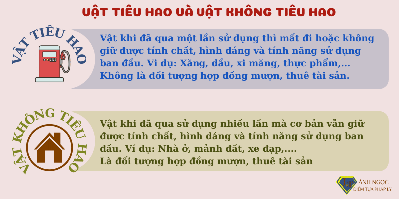 Vật tiêu hao và vật không tiêu hao