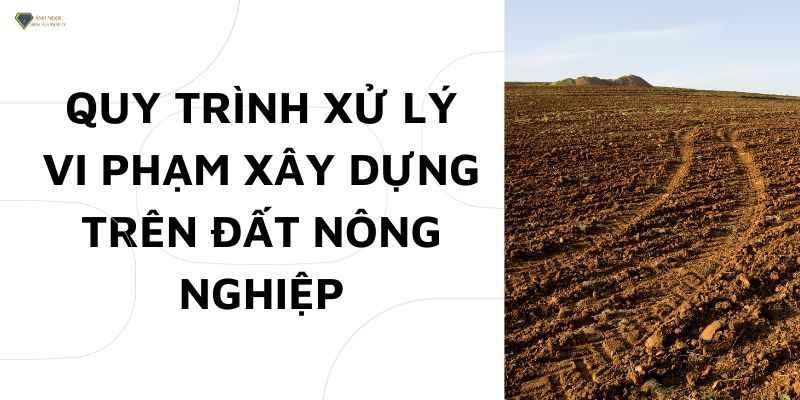 Xây dựng trên đất nông nghiệp bị xử lý như thế nào?