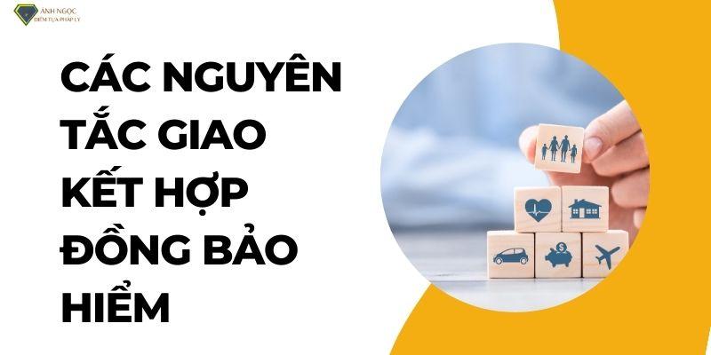 Các nguyên tắc giao kết và thực hiện hợp đồng bảo hiểm bạn cần nắm rõ