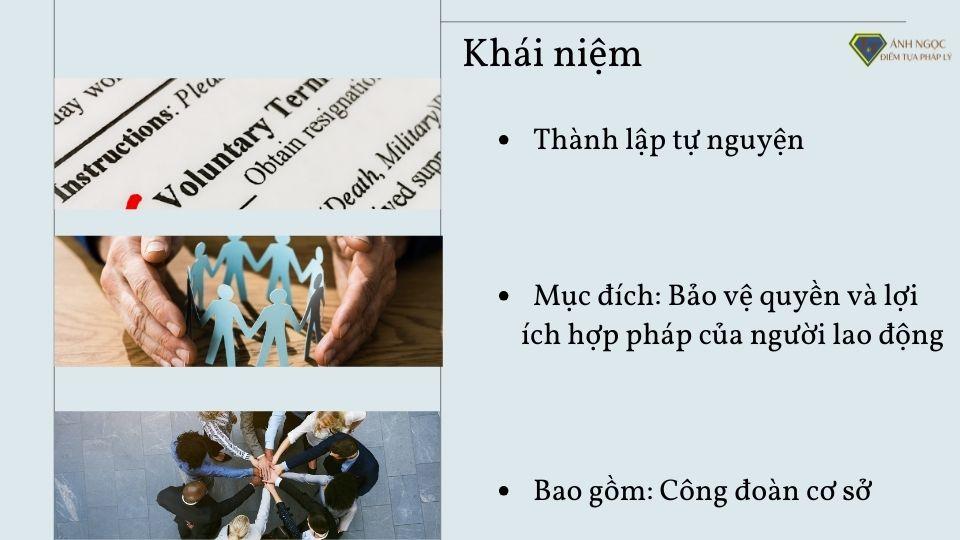 Tổ chức đại diện người lao động là gì?