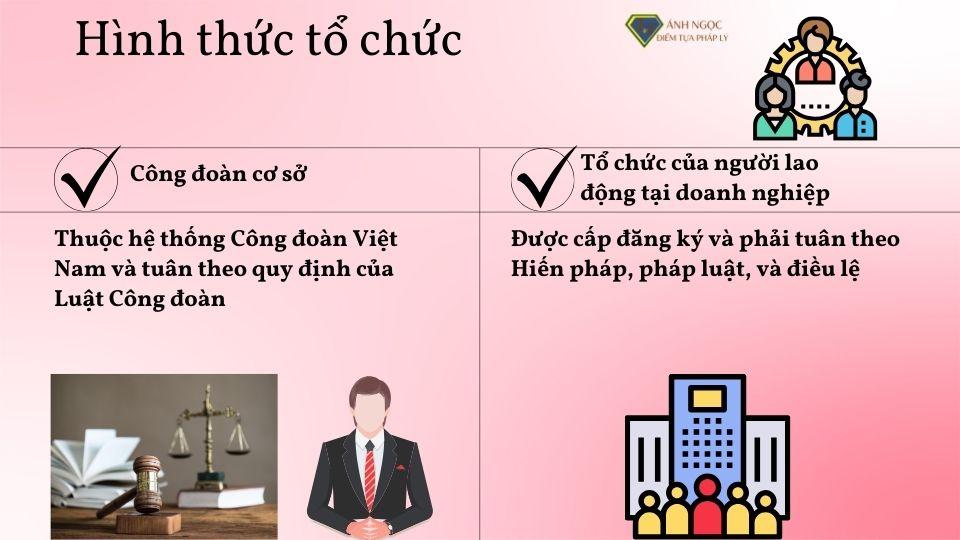 Hình thức tổ chức