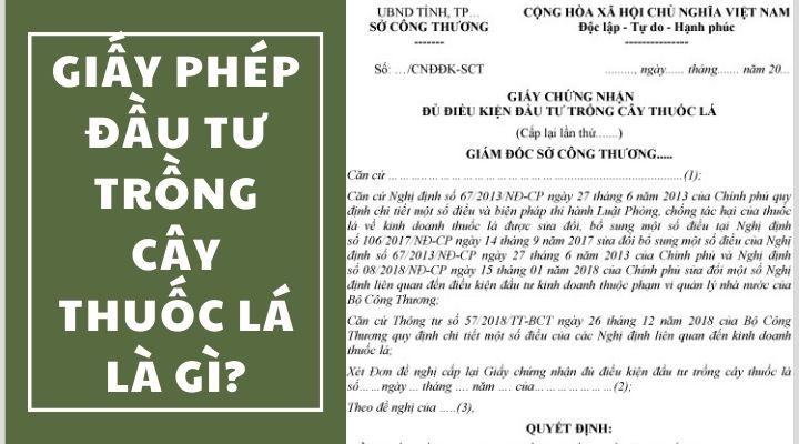 Định nghĩa giấy phép đầu tư trồng cây thuốc lá