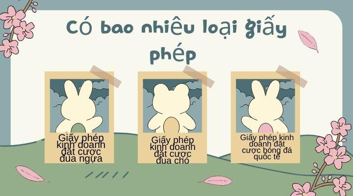 Quy định về các loại giấy phép kinh doanh đặt cược