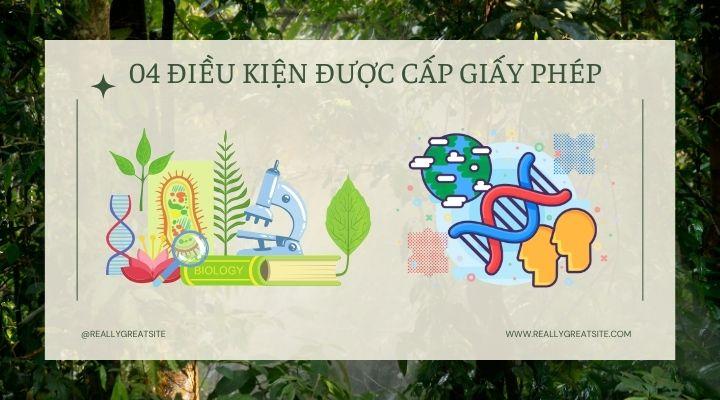 Điều kiện cấp giấy phép