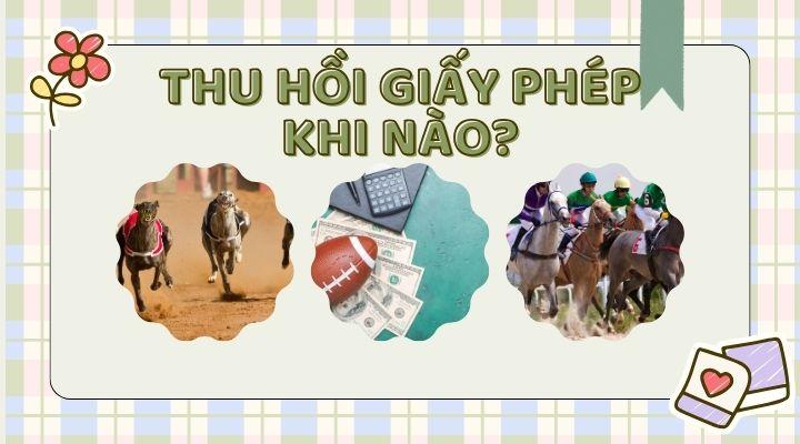 Khi nào thì bị thu hồi giấy phép kinh doanh đặt cược?