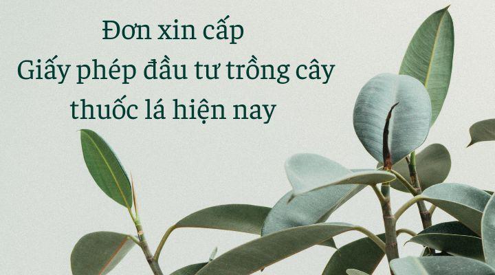 Mẫu đơn xin cấp Giấy phép đầu tư trồng cây thuốc lá