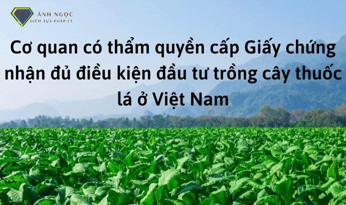 Cơ quan có thẩm quyền cấp giấy phép