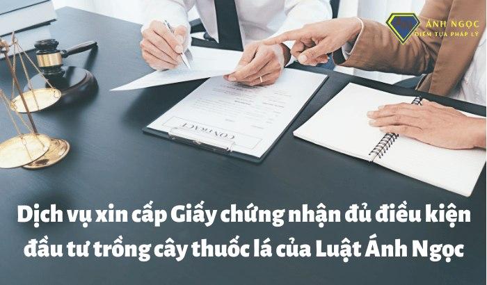 Dịch vụ xin cấp giấy Chứng nhận đủ điều kiện trồng cây thuốc lá của Luật Ánh Ngọc