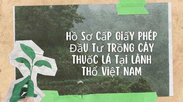 Hồ sơ xin cấp Giấy phép đầu tư trồng cây thuốc lá