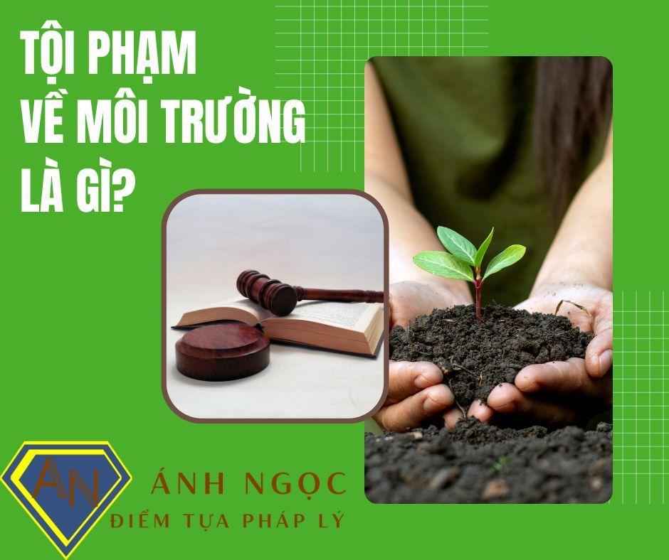 Tội phạm về môi trường là gì?