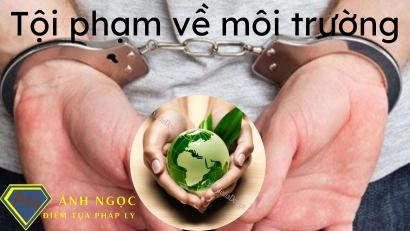 Tội phạm về môi trường và luật hình sự: Hậu quả pháp lý