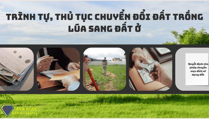 Trình tự, thủ tục chuyển đổi đất trồng lúa sang đất ở