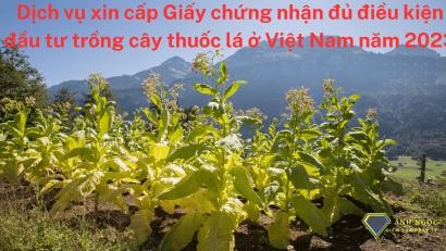 Dịch vụ xin cấp Giấy chứng nhận đủ điều kiện đầu tư trồng cây thuốc lá