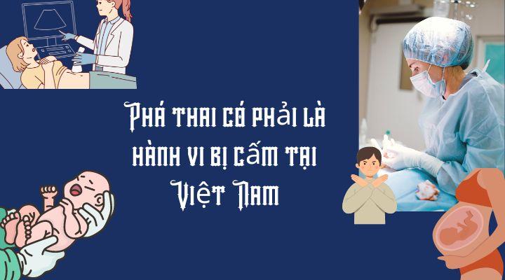 Việt Nam có cấm phá thai không? Hình thức xử phạt nếu có?