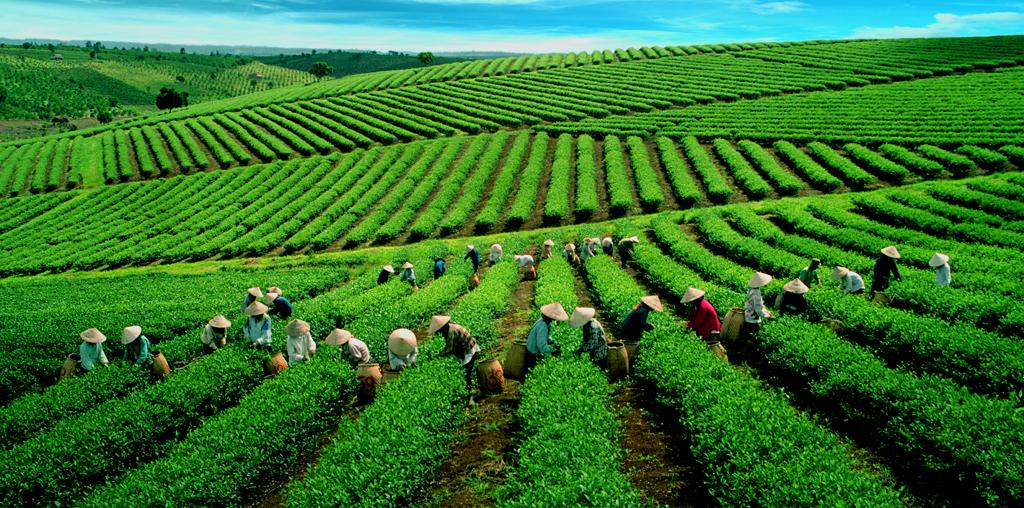 Tiềm năng thành lập công ty tại Thái Nguyên Tiềm năng thành lập công ty tại Thái Nguyên