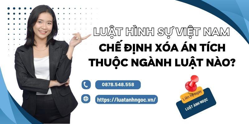 Chế định xóa án tích thuộc ngành luật nào? Luật Hình sự Việt Nam