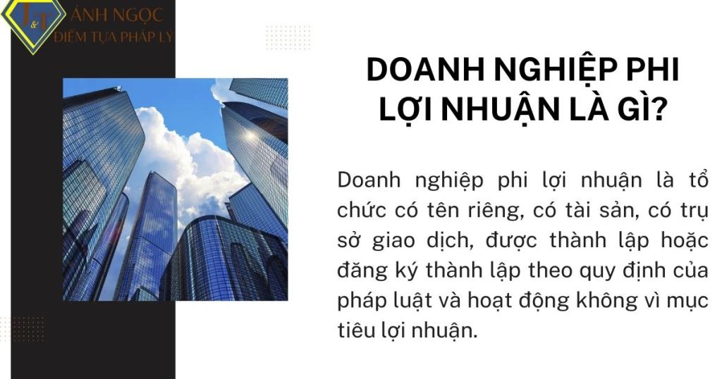 Doanh nghiệp phi lợi nhuận là gì?