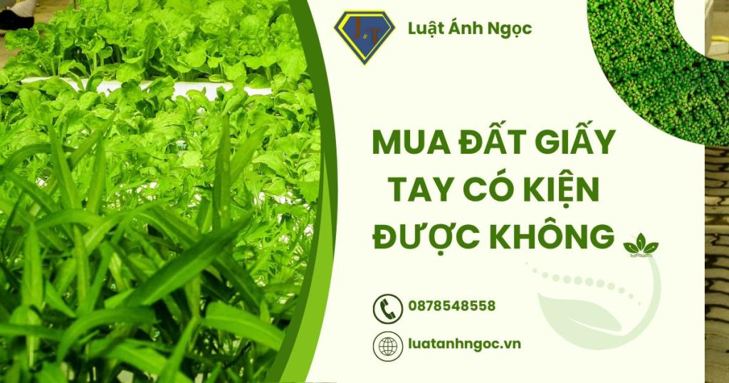 Mua đất giấy tay có kiện được không